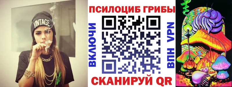 как найти закладки  маркетплейс какой сайт  Галлюциногенные грибы прущие грибы  Фокино 
